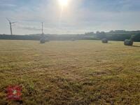 15 ROUND HAY BALES BIDS PER BALE - 3