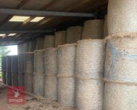 100 BALES OF 2024 HAY BIDS PER BALE