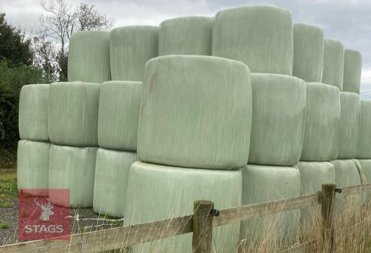 40 ROUND BALES OF HAY BIDS PER BALE