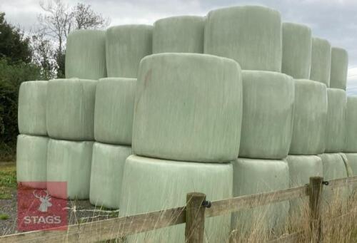 40 ROUND BALES OF HAY BIDS PER BALE