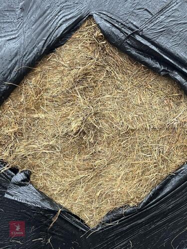 50 ROUND BALES OF SILAGE BIDS PER BALE