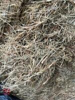 50 ROUND BALES OF SILAGE BIDS PER BALE - 2