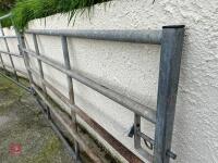 9' 6'' HD CATTLE YARD GATE (2) - 4