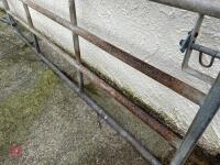 9' 6'' HD CATTLE YARD GATE (2) - 6