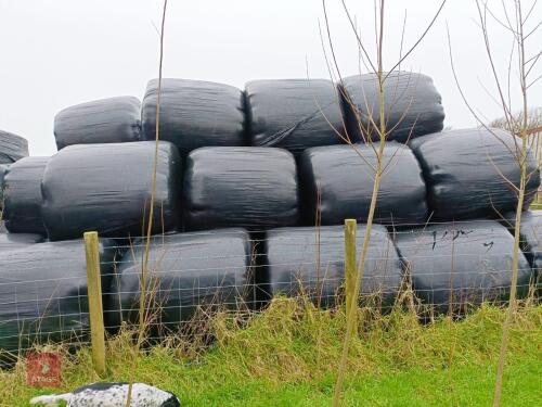 45 ROUND BALES OF 2023 SILAGE BIDS PER BALE