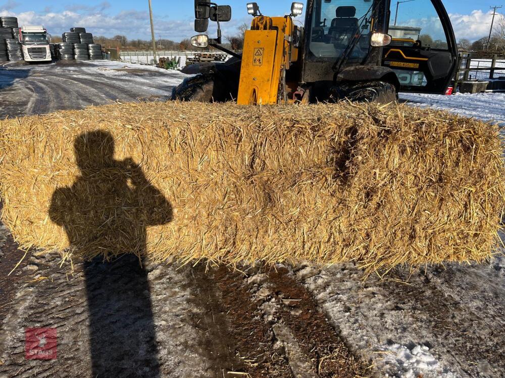 20 QUADRANT BALES OF WHEAT STRAW BIDS PER BALE