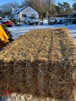 20 QUADRANT BALES OF WHEAT STRAW BIDS PER BALE - 3