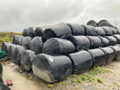 100 ROUND BALES OF 2023 SILAGE BIDS PER BALE