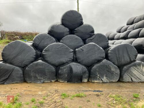 60 ROUND BALES OF 2023 SILAGE BIDS PER BALE