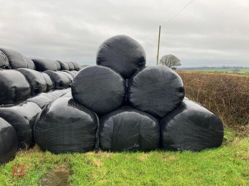 30 ROUND BALES OF 2023 SILAGE BIDS PER BALE