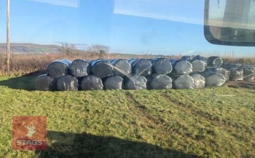 20 ROUND BALES OF SILAGE BIDS PER BALE