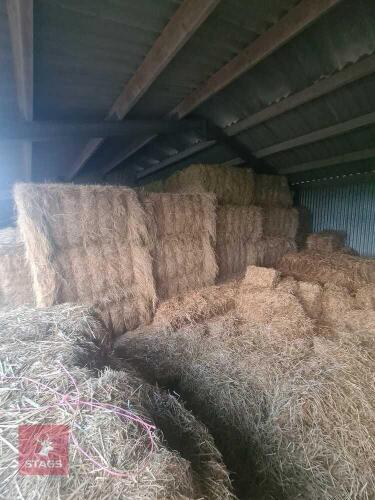 20 X 6 STRING BALES OF 2024 HAY BIDS PER BALE