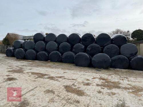 30 ROUND BALES OF SILAGE BIDS PER BALE