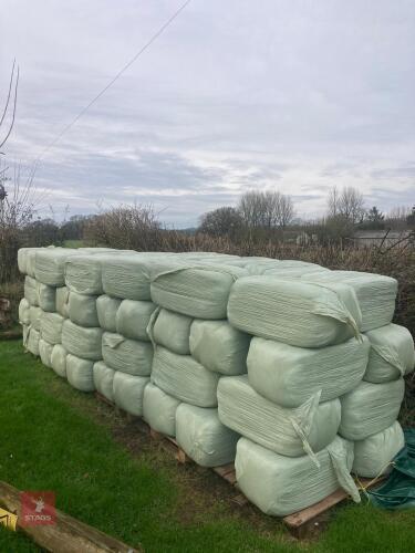 20 CONVENTIONAL BALES OF HAYLAGE BIDS FOR THE GROUP