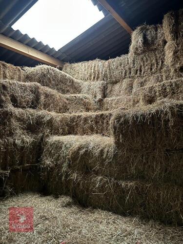 100 CONVENTIONAL BALES OF HAY BIDS FOR GROUP