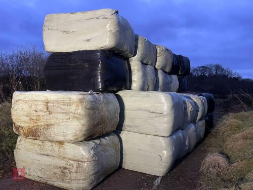 32 BALES OF 2023 HAY BIDS PER BALE BIDS FOR THE BALE