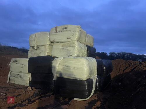 UP TO 50 BALES OF 2023 HAY BIDS FOR THE BALE