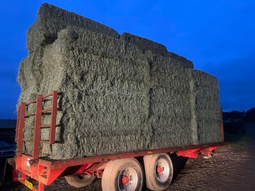 21 BALES OF 2024 MEADOW HAY BIDS FOR THE BALE