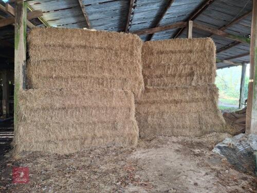 70 BIG SQUARE BALES OF MEADOW HAY BIDS PER BALE