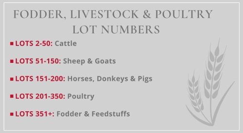 SOUTH WEST SALE LOT CATEGORIES