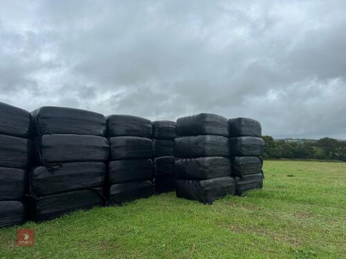 25 SQUARE BALES OF WHOLECROP SILAGE BIDS FOR THE BALE