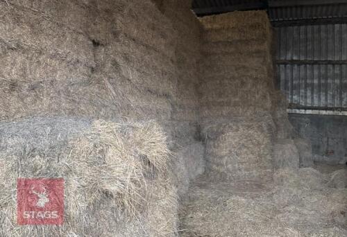 40 QUADRANT BALES OF 2024 MEADOW HAY BIDS FOR THE BALE