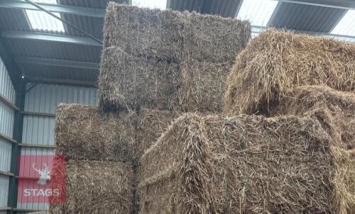 20 QUADRANT BALES OF WHEAT STRAW BIDS FOR THE BALE