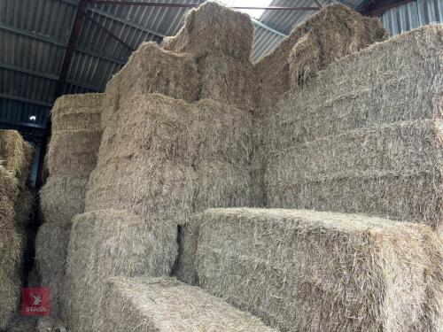 50 X 4 STRING OF 2024 MEADOW HAY BIDS PER BALE