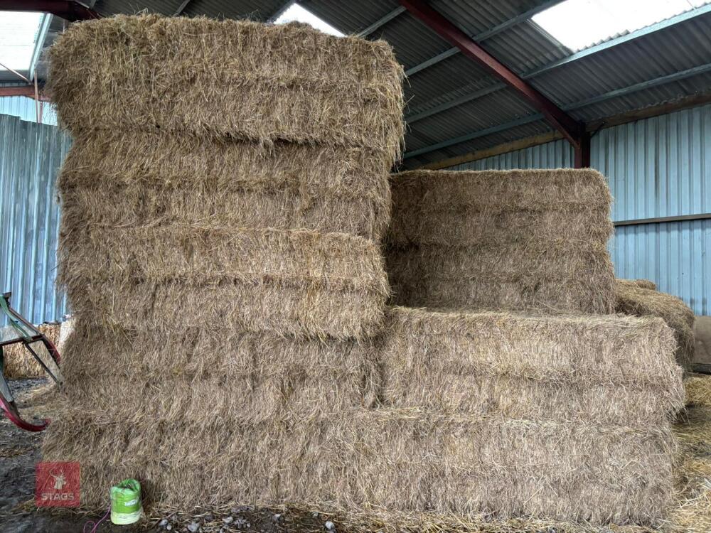 30 X 6 STRING HAY BIDS PER BALE