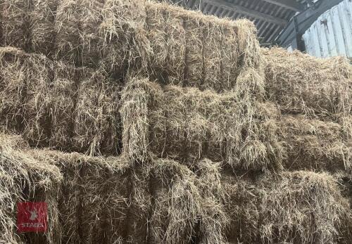 40 SQAURE BALES OF MEADOW HAY BIDS FOR THE BALE