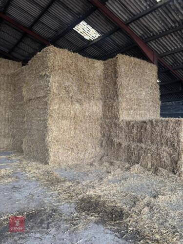 50 X 8' 120 X 90 BALES OF WHEAT STRAW BIDS FOR THE BALE