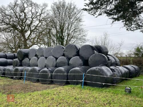 30 ROUND BALES OF 2023 SILAGE BIDS PER BALE