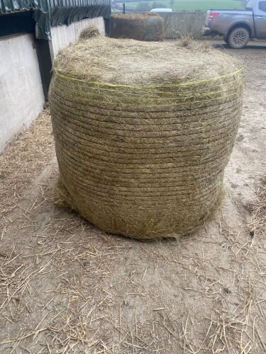 50 ROUND BALES OF HAYLAGE BIDS PER BALE