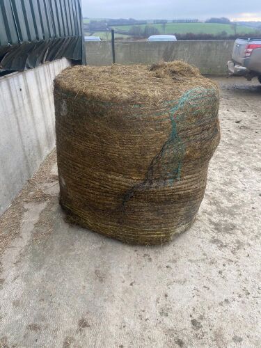 50 ROUND BALES OF SILAGE BIDS PER BALE