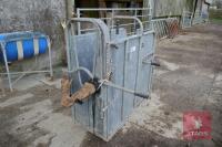 IAE CALF DEHORNING CRATE - 2