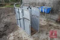 IAE CALF DEHORNING CRATE - 8