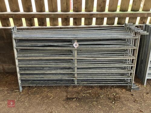 10 X 6' GALVANISED HURDLES (66)