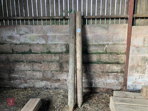 2 X 7' STRAINING POSTS (157)