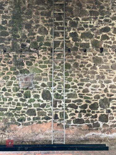 14' ALUMINIUM LADDER (150)