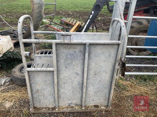 CALF DEHORNING CRATE