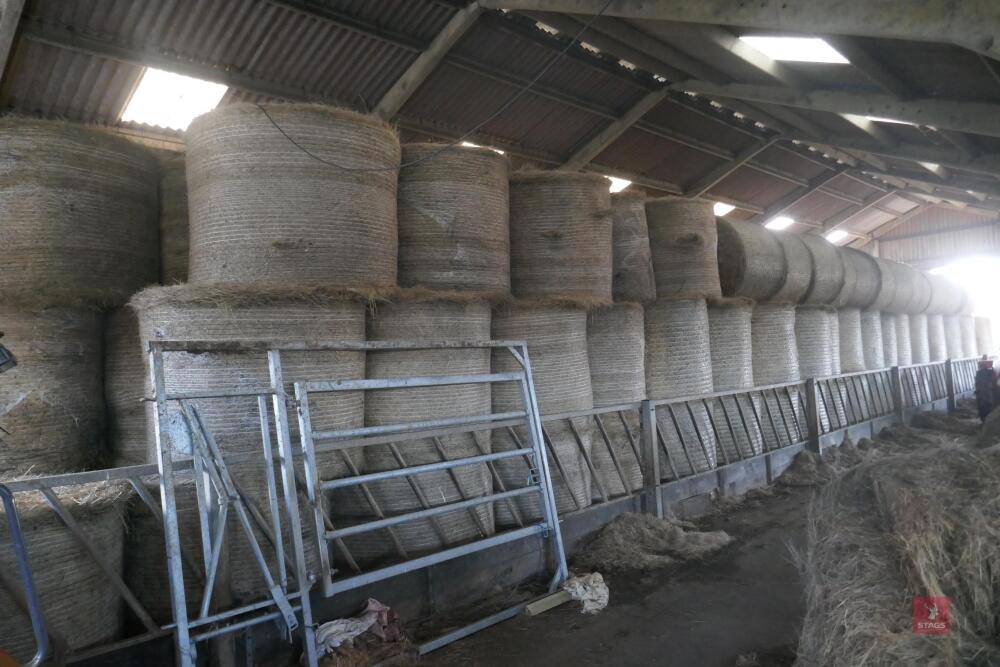 159 BALES OF ORGANIC ROUND BALE HAY