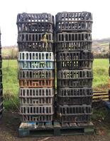 3 PALLETS (36 CRATES)