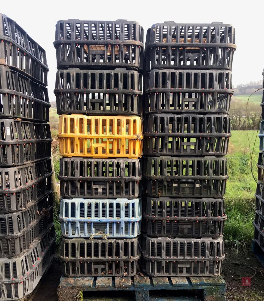 5 PALLETS (60 CRATES)