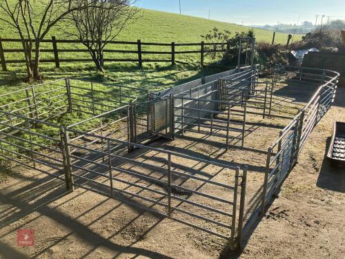 IAE SHEEP HANDLING SYSTEM (36)