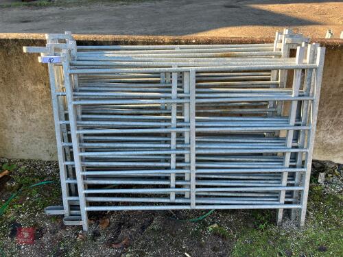 8 X 4' GALVANSIED SHEEP HURDLES (42)