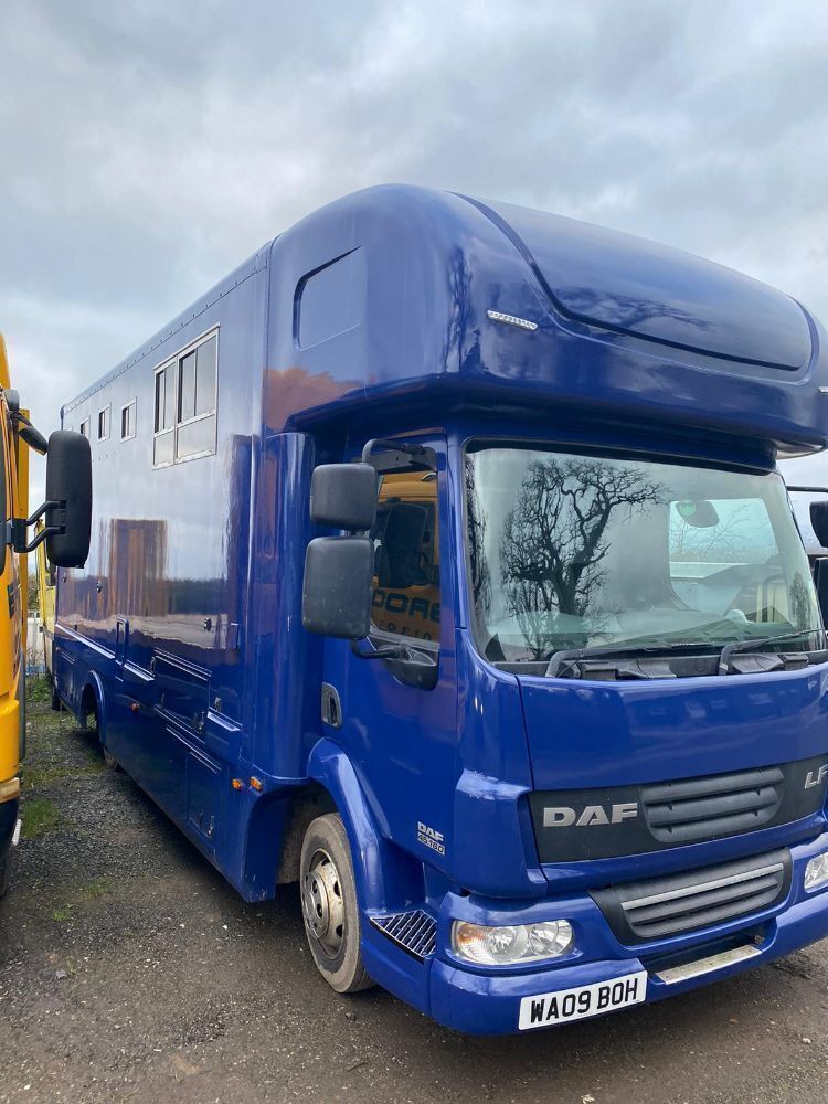 DAF 45.160 EQUINE LORRY (2009)