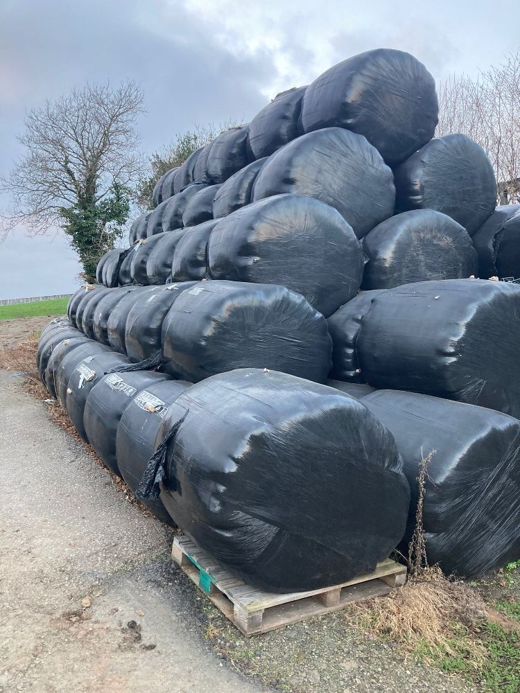 100 BALES OF 2019 ROUND BALE HAYLAGE