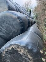 100 BALES OF 2019 ROUND BALE HAYLAGE - 2