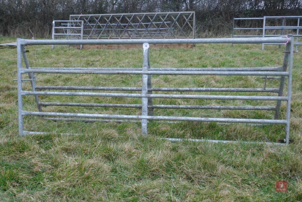 PAIR OF 10' GALVANISED GATES