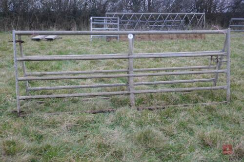 PAIR OF 10' GALVANISED GATES